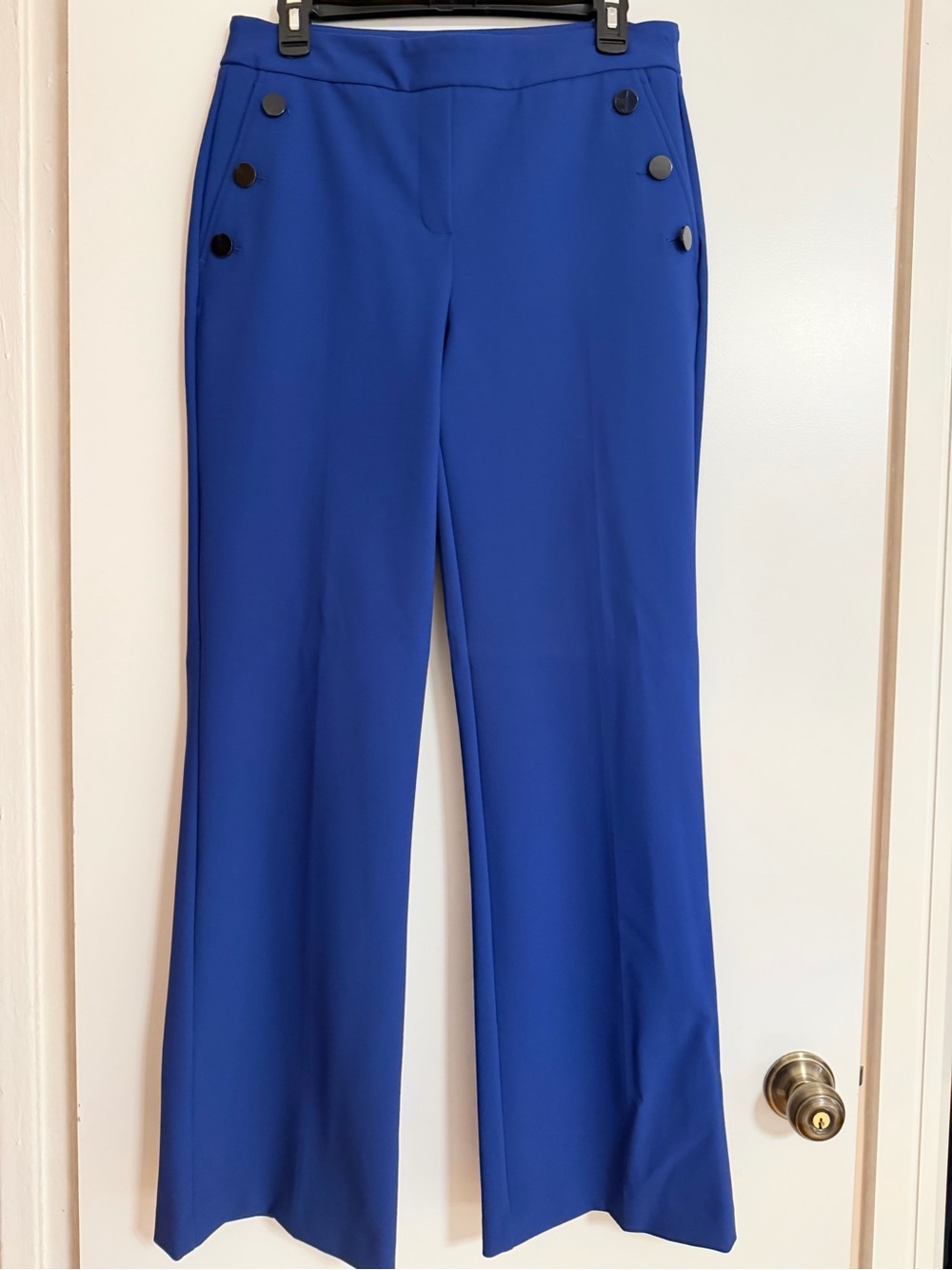 Rachel Zoe Cobalt Blue Wide-Leg Pants with Side Buttons